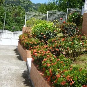 Allée Des Ixoras Appartement